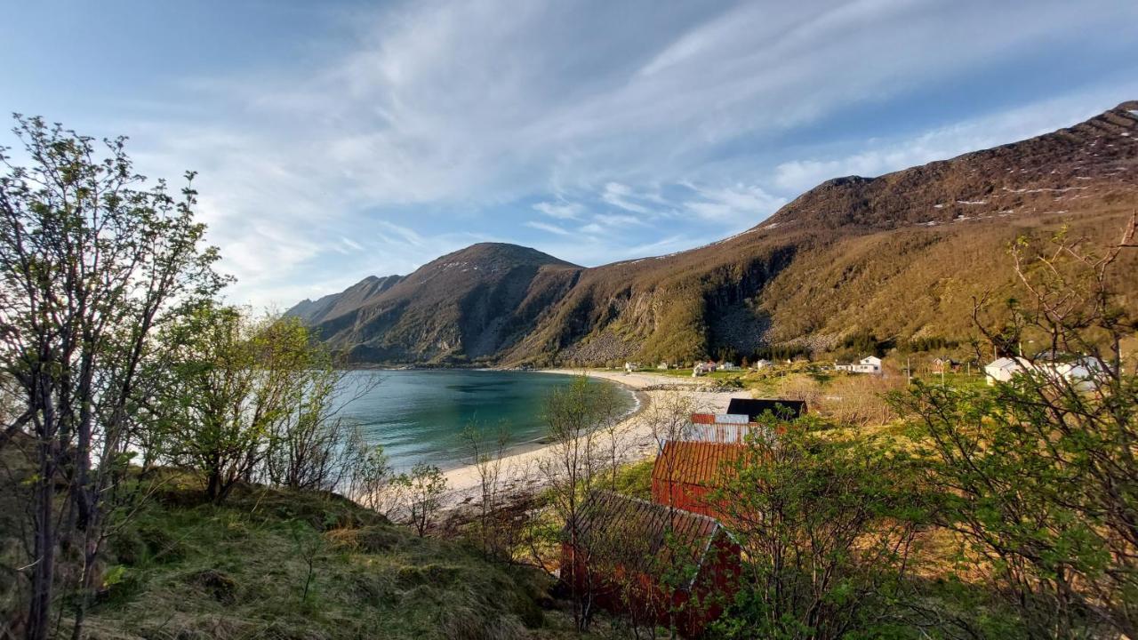 Holiday Home On Senja Senjahopen Zewnętrze zdjęcie