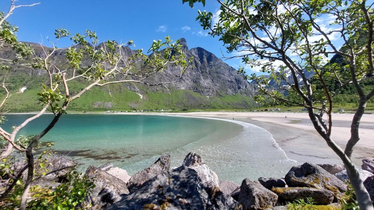 Holiday Home On Senja Senjahopen Zewnętrze zdjęcie